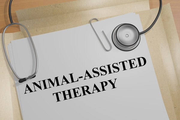 Animal-assisted therapy rehab