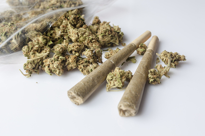 Dried marijuana buds.